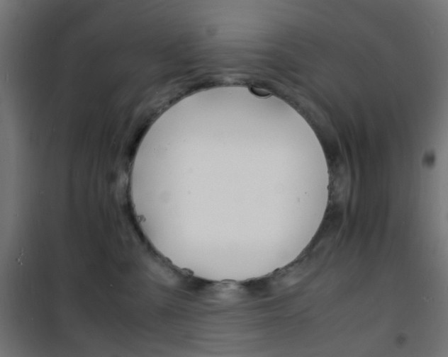 X0000101480427200807071247