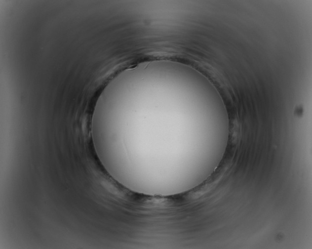 X0000101480428200807071247