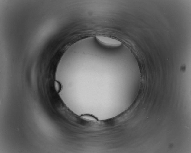 X0000101480429200807071247