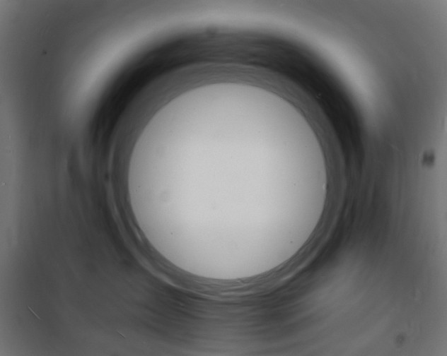 X0000101480431200807071247