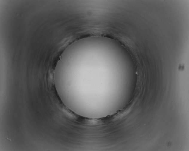 X0000101480432200807071247