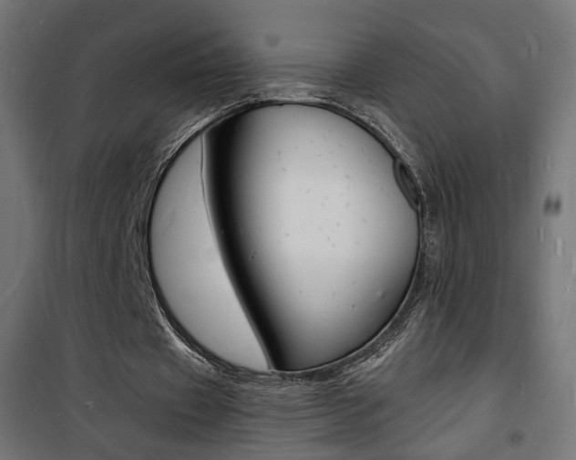 X0000101480433200807071247