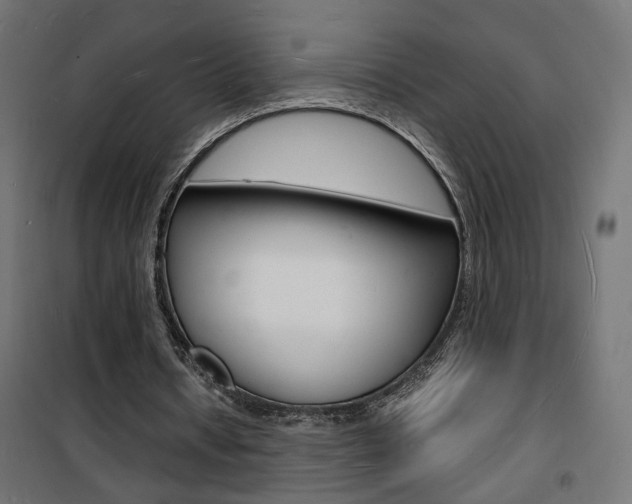 X0000101480434200807071247