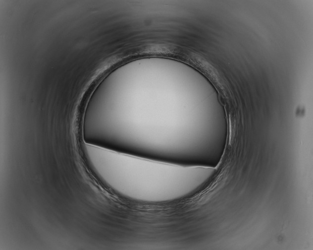 X0000101480435200807071247