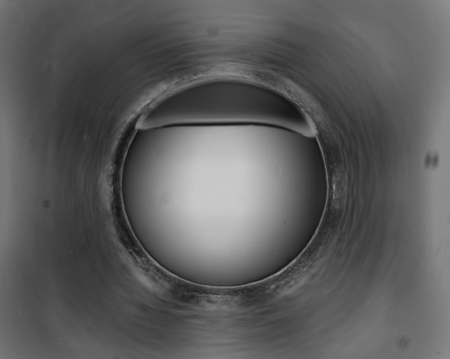 X0000101480436200807071247