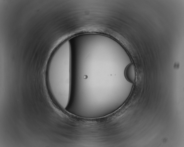 X0000101480438200807071247