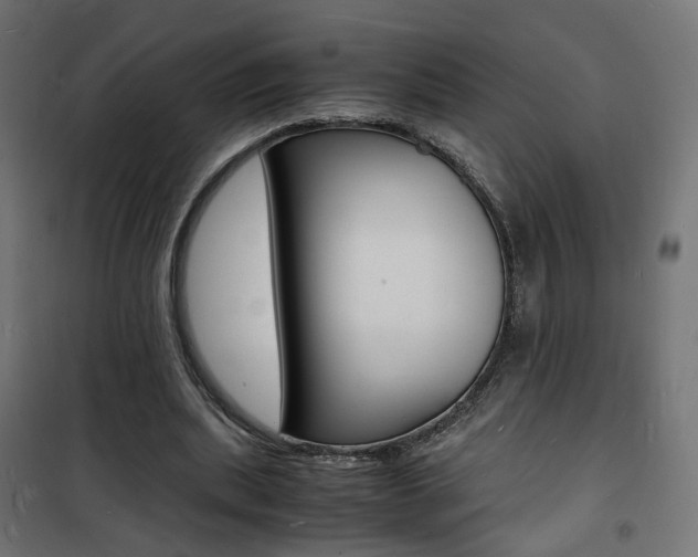 X0000101480439200807071247