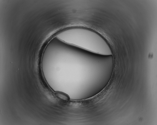X0000101480440200807071247