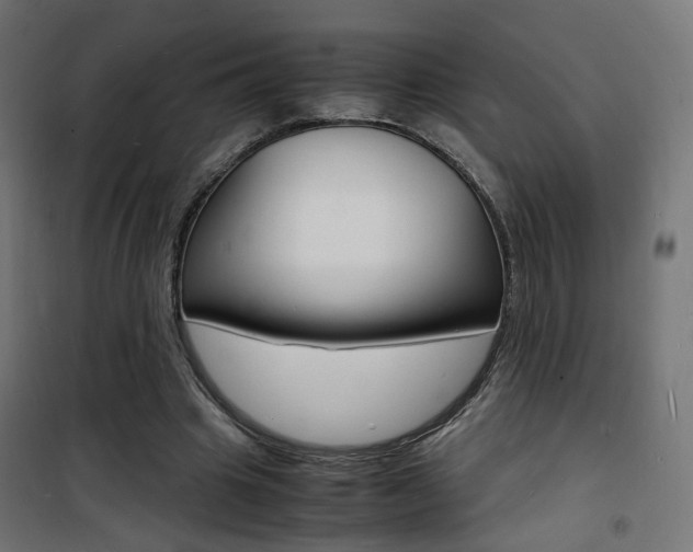 X0000101480441200807071247