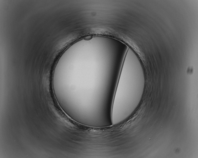 X0000101480442200807071247