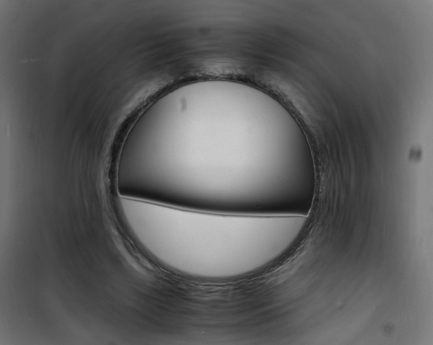 X0000101480443200807071247
