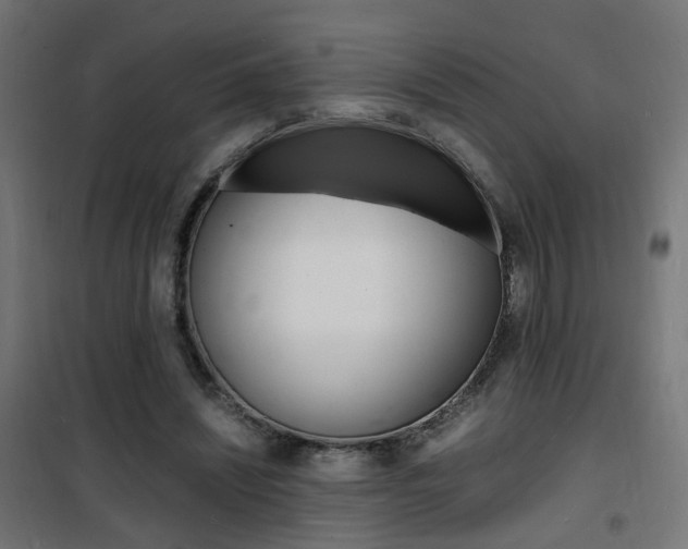 X0000101480444200807071247