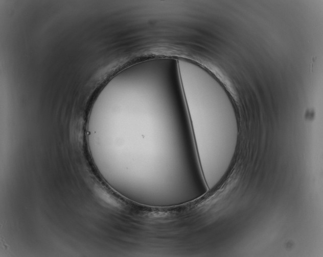 X0000101480445200807071247