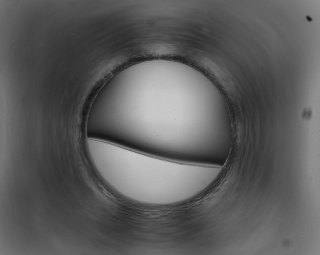 X0000101480447200807071247