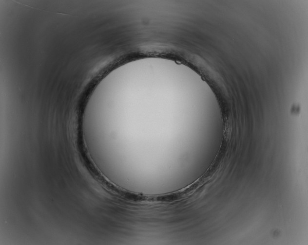 X0000101480448200807071247