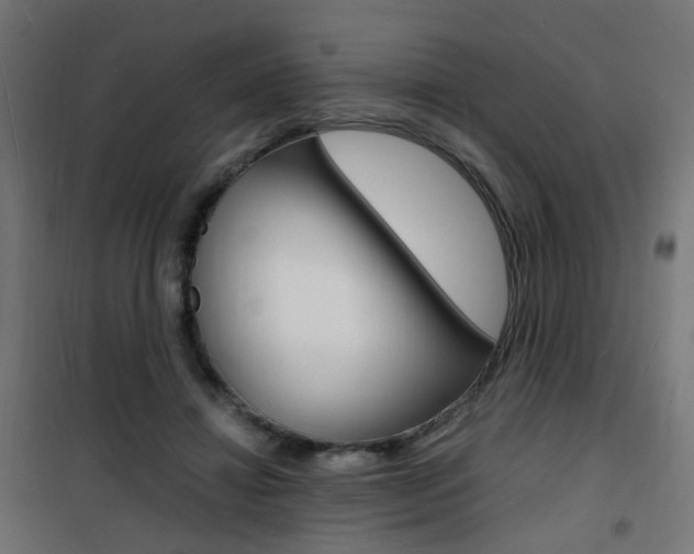 X0000101480452200807071247