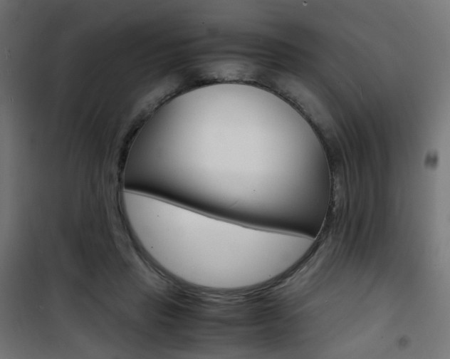 X0000101480453200807071247