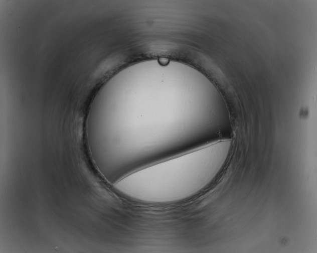 X0000101480454200807071247