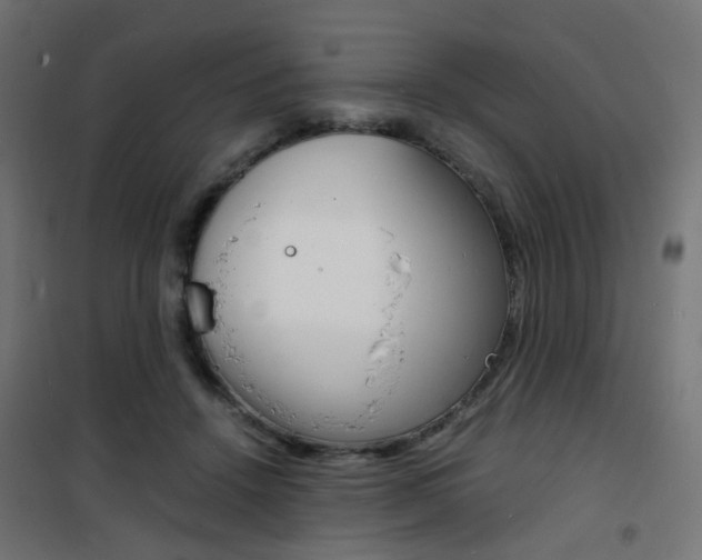 X0000101480456200807071247