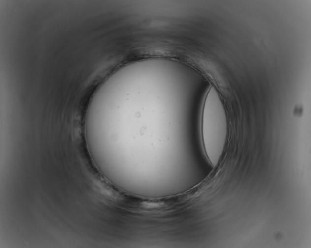 X0000101480457200807071247