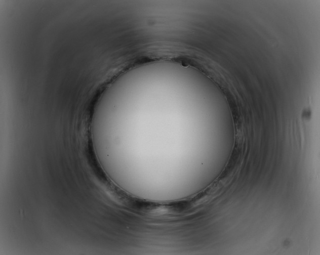X0000101480460200807071247