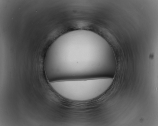X0000101480461200807071247
