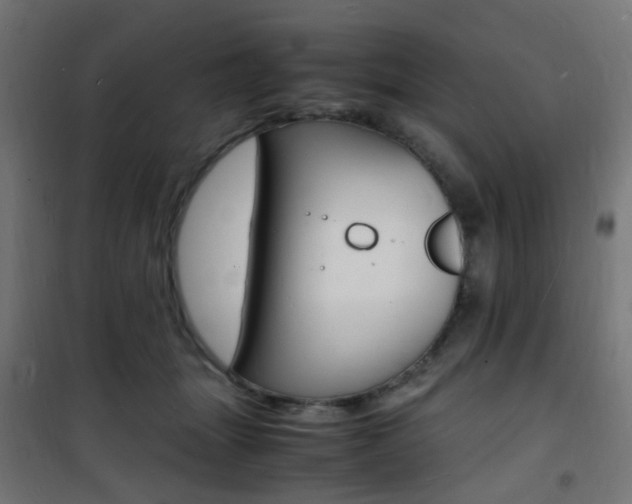 X0000101480463200807071247