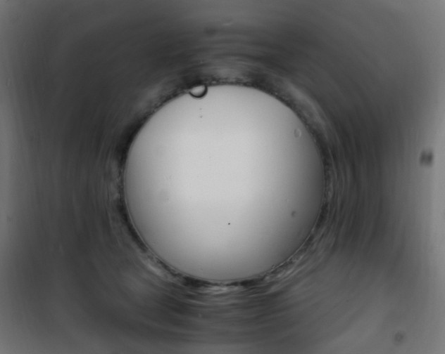 X0000101480465200807071247