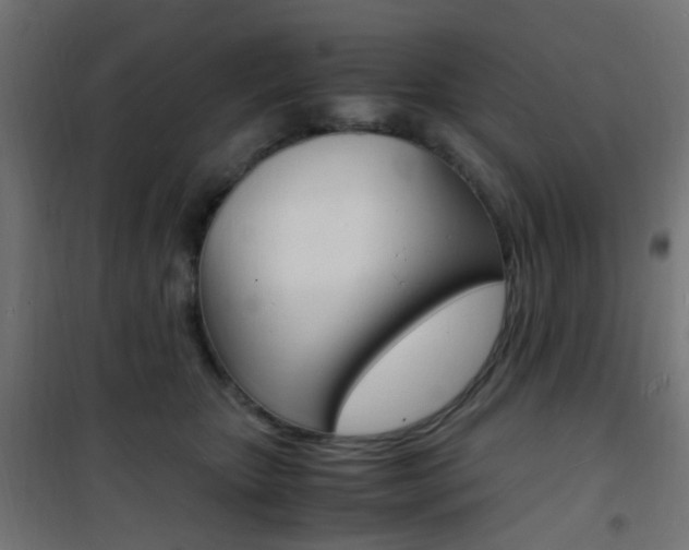 X0000101480467200807071247