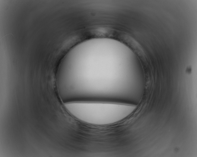 X0000101480469200807071247