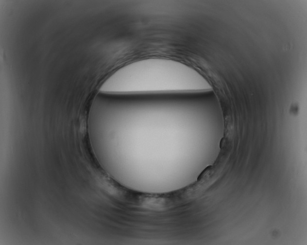 X0000101480471200807071247