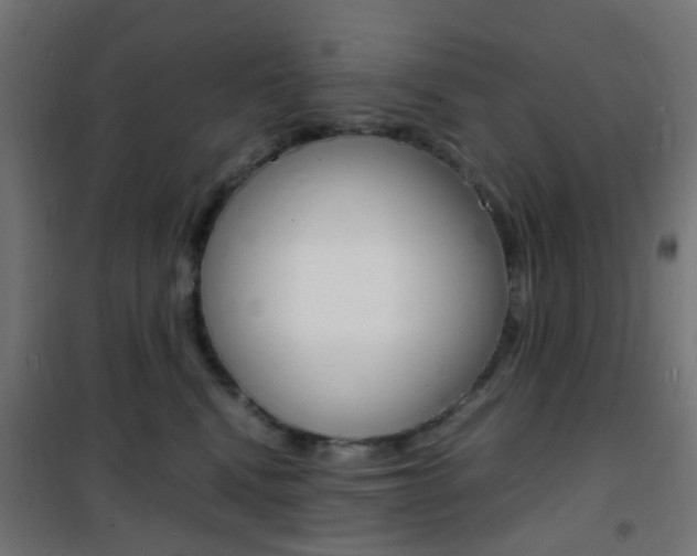 X0000101480472200807071247