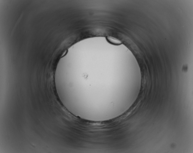 X0000101480473200807071247