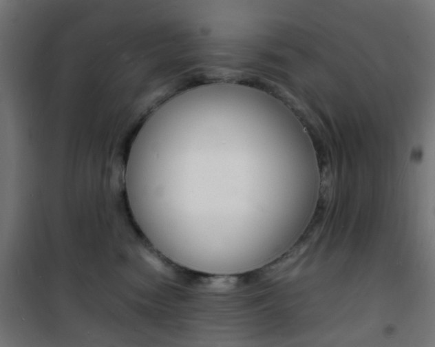 X0000101480474200807071247