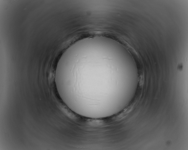 X0000101480476200807071247