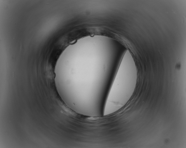 X0000101480477200807071247