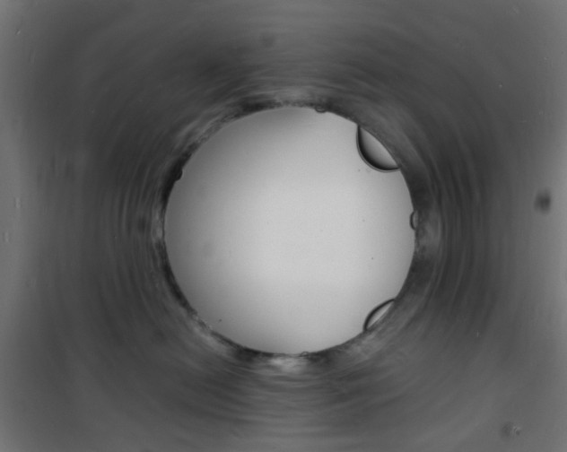 X0000101480478200807071247