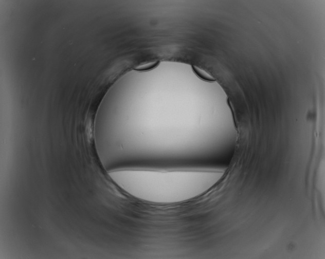 X0000101480479200807071247