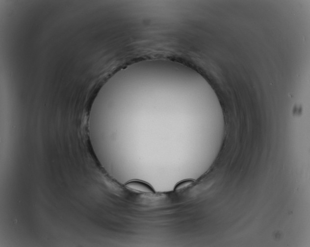 X0000101480480200807071247