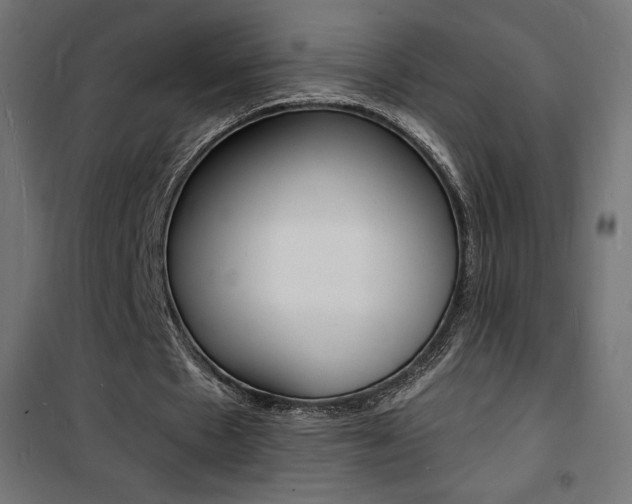 X0000101480481200807071246