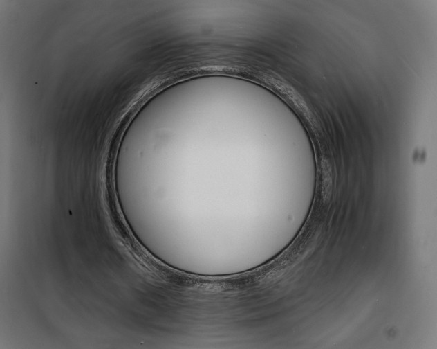 X0000101480482200807071246