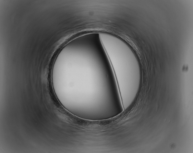 X0000101480483200807071246