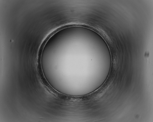 X0000101480484200807071246