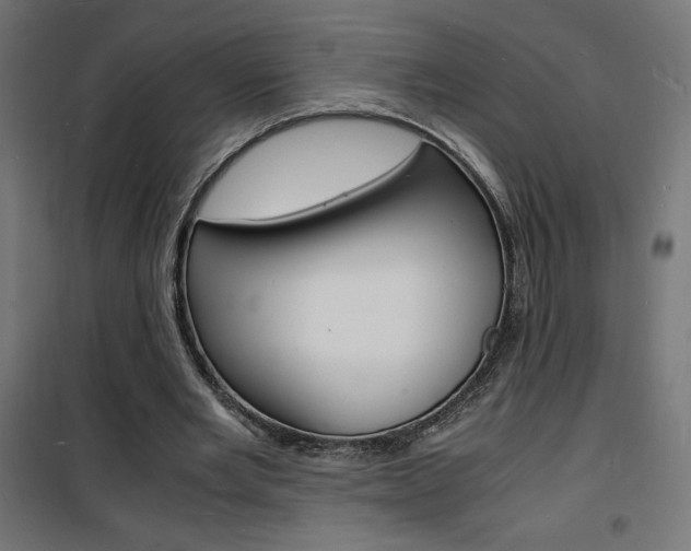X0000101480485200807071246