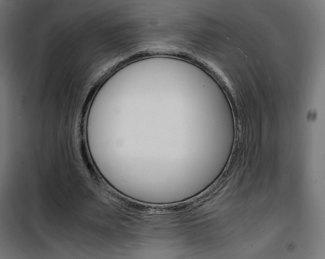 X0000101480487200807071246
