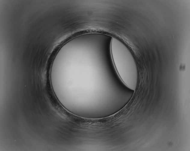 X0000101480488200807071246