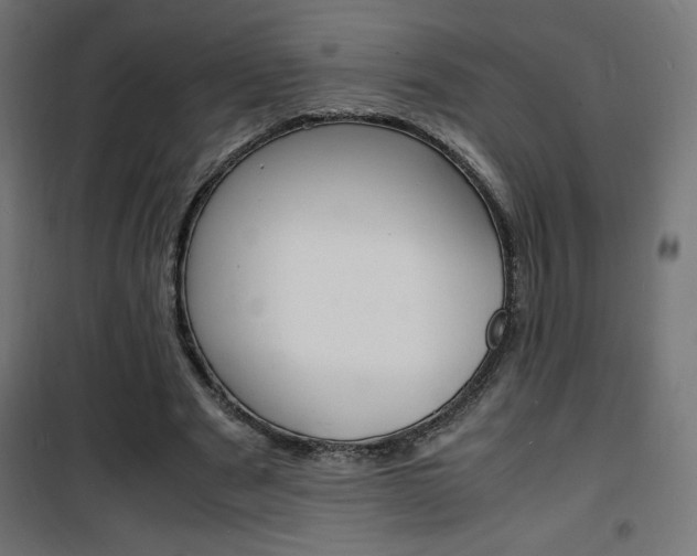 X0000101480489200807071246