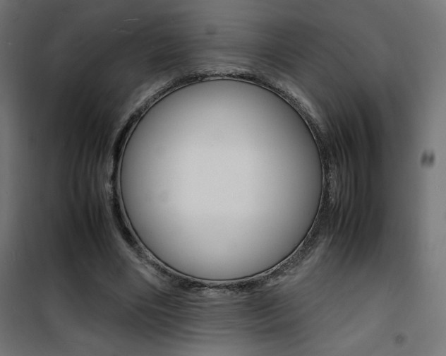 X0000101480490200807071246
