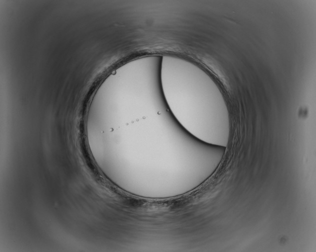 X0000101480491200807071246