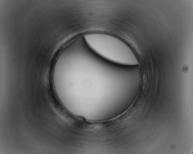 X0000101480492200807071246
